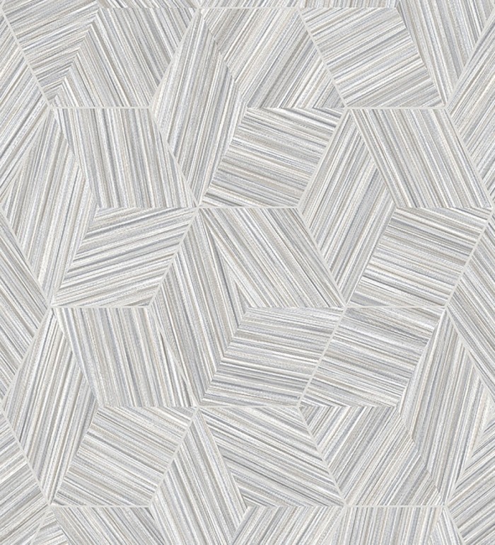 Papel pintado de hexágonos con delgadas líneas color plata - Maurice Metrix 681674