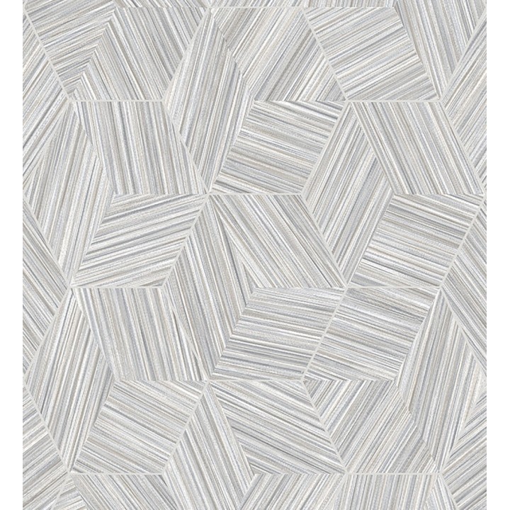 Papel pintado de hexágonos con delgadas líneas color plata - Maurice Metrix 681674