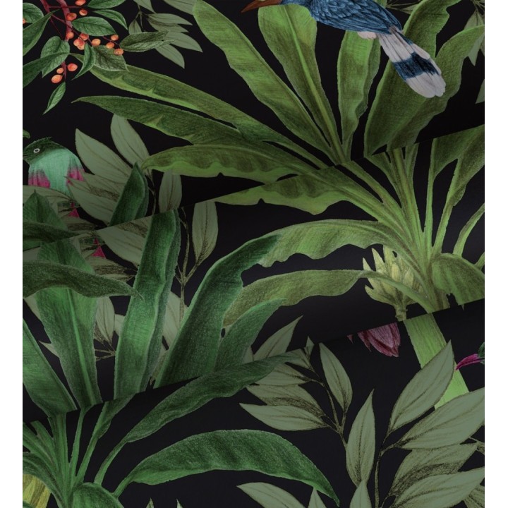 Papel pintado de aves exóticas y hojas de palma estilo tropical - Suky Tropical 681793