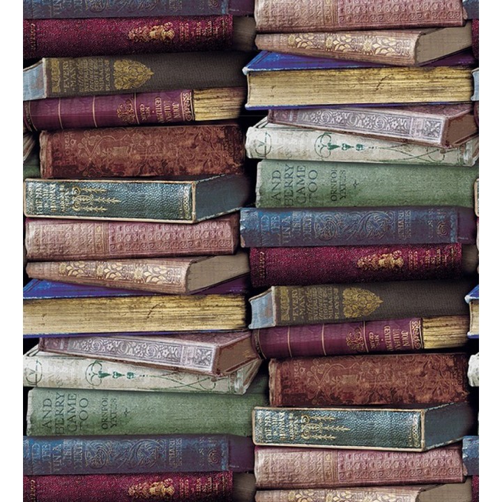 Papel pintado - Jarvis Library 122368