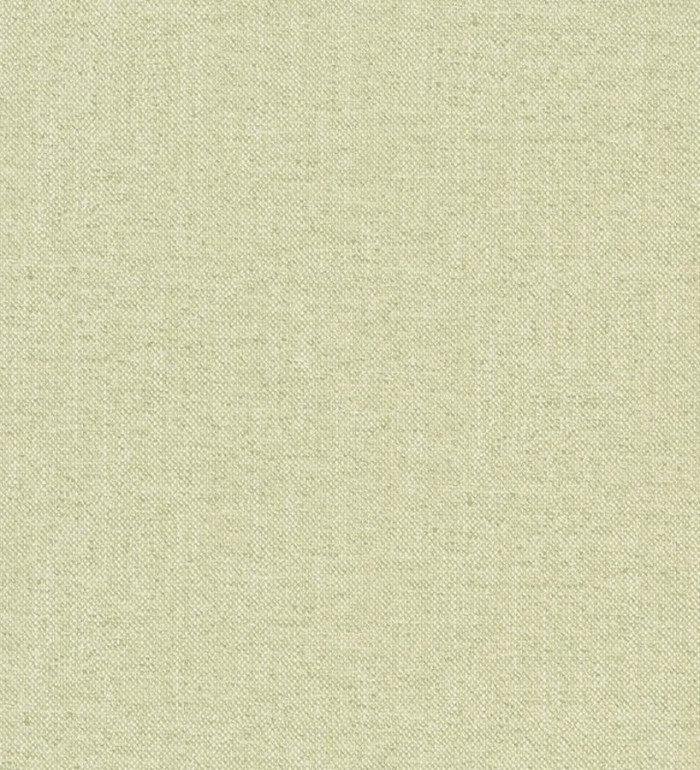 Papel pintado Liso Texturizado - Guayana 122404