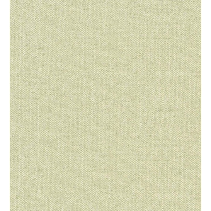 Papel pintado Liso Texturizado - Guayana 122404