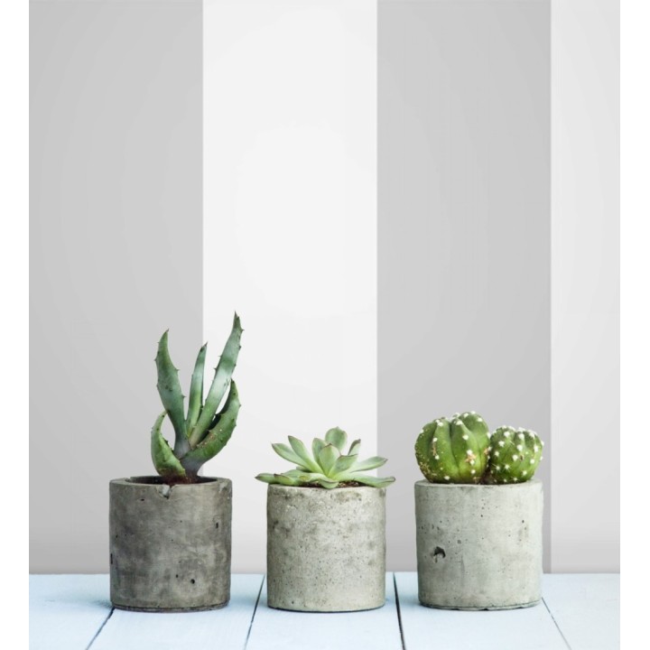 Papel pintado de rayas anchas de 13,25 cm grises y blancas - Allen Stripe 681942