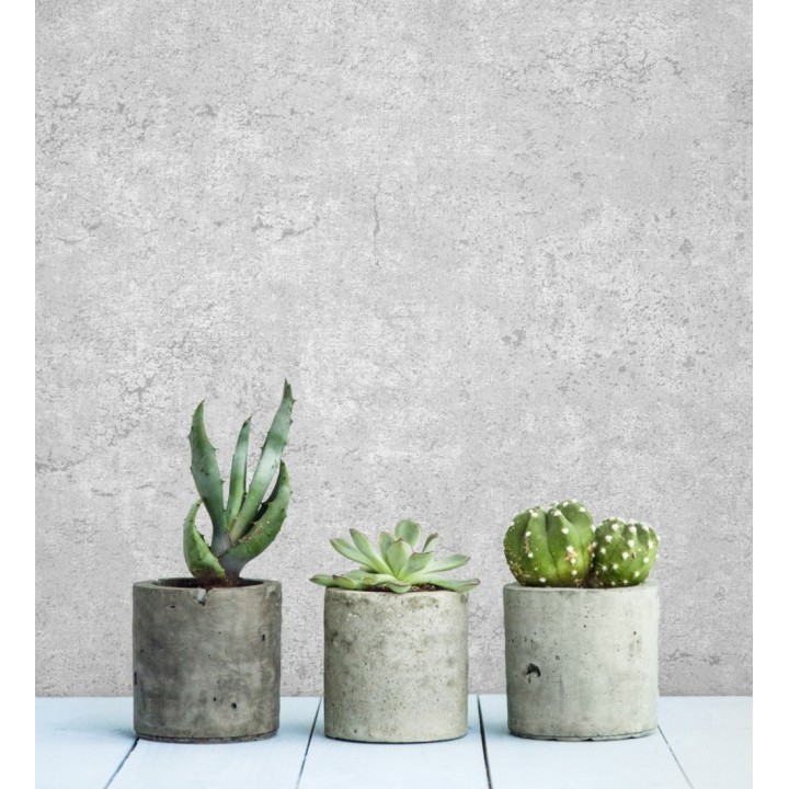 Papel pintado pared de hormigón efecto cemento gris claro - Baldur 681944