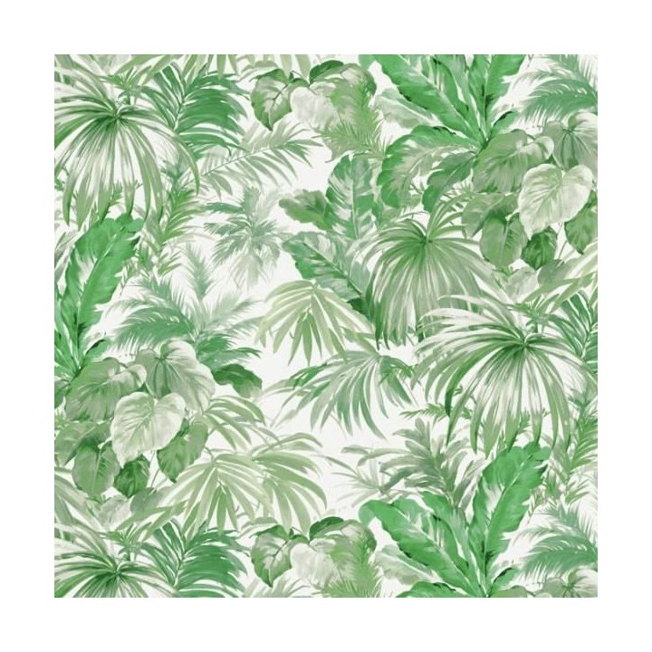 Fotomural de plantas selva de Brasil - Copacabana 122446