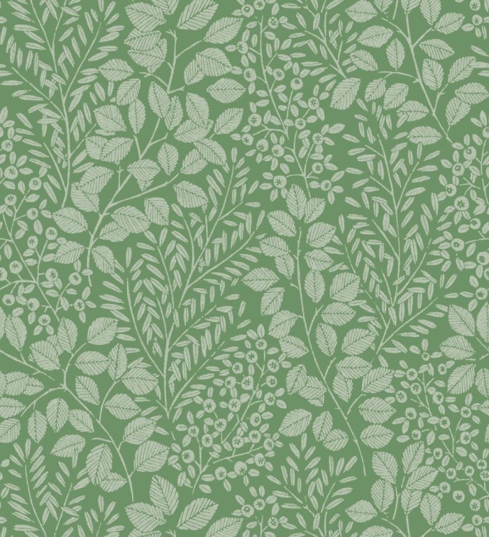 Papel pintado enredadera de hojas color verde - Remy leaves 682052