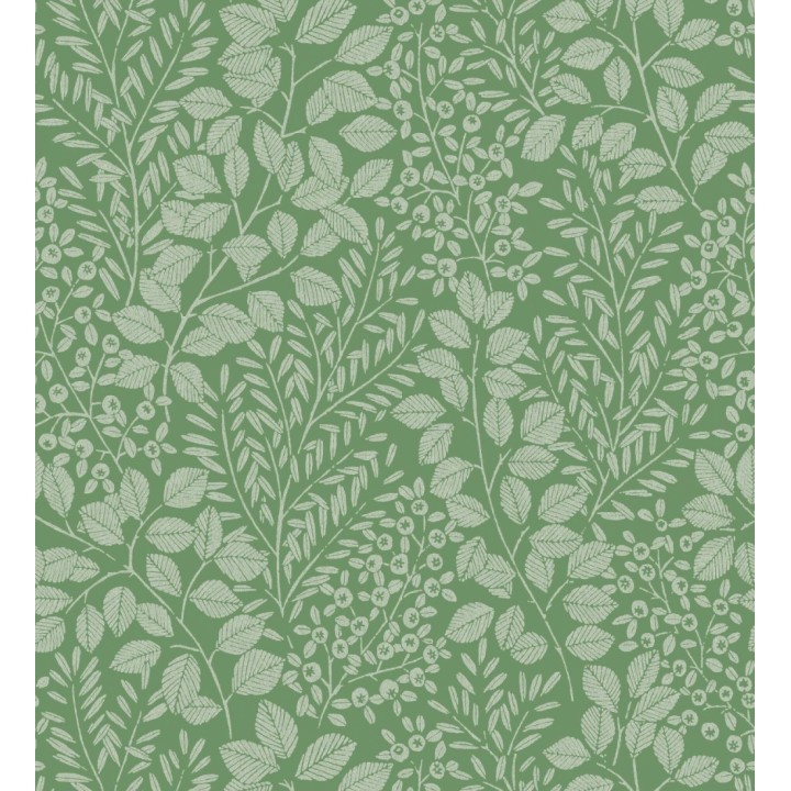 Papel pintado enredadera de hojas color verde - Remy leaves 682052