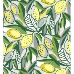 Ginger Lemons 682302