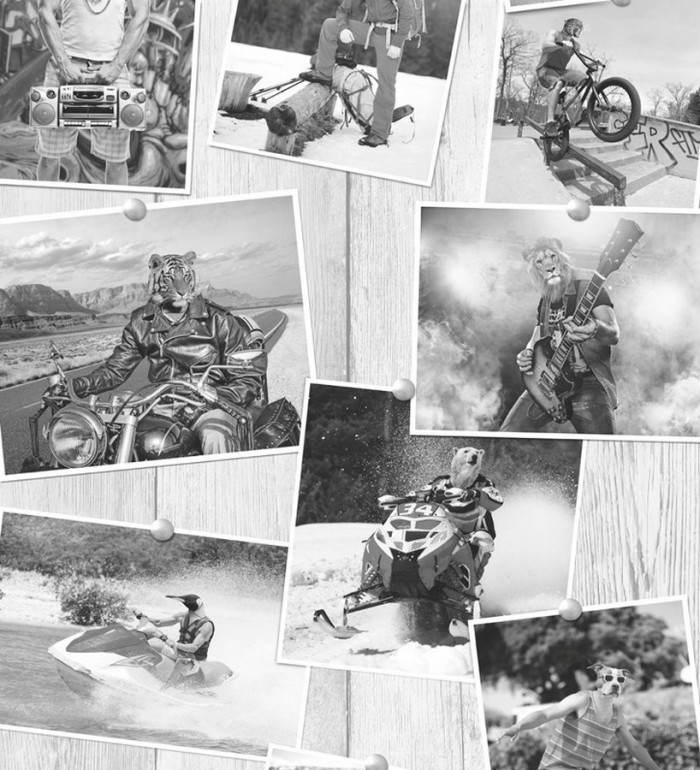 Papel pintado - Animal Humour 122495