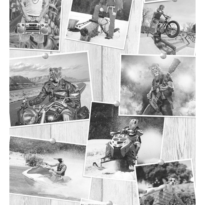 Papel pintado - Animal Humour 122495