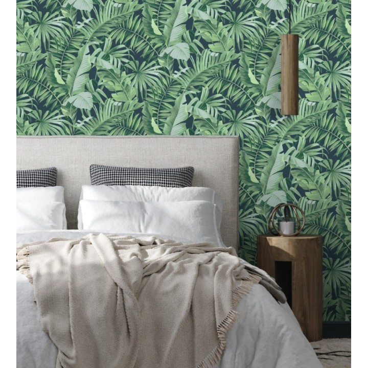 Papel pintado de hojas tropicales verde fondo oscuro - Maldivas Tropical 682358