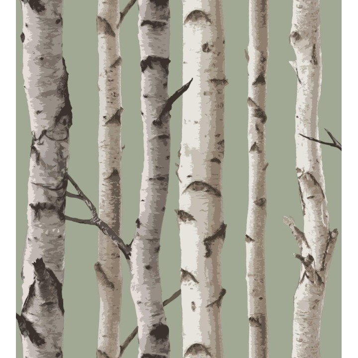 Papel pintado tronco de árboles de estilo nórdico color verde claro - Nordic Forest 682373