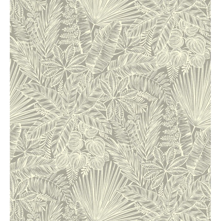 Papel pintado de selva tropical con hojas fondo marrón - Jacaranda 682471