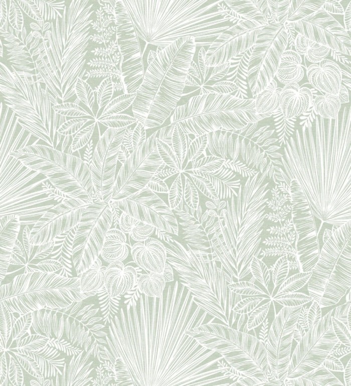 Papel pintado de selva tropical con hojas fondo verde claro - Jacaranda 682474