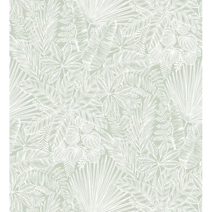 Papel pintado de selva tropical con hojas fondo verde claro - Jacaranda 682474