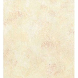 Papel pintado Sunset Hall Texture 122659