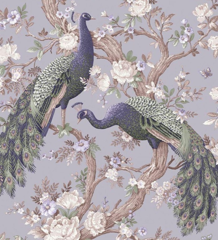 Papel pintado de pavos reales sobre ramas fondo violeta - Avian Paradise 682689