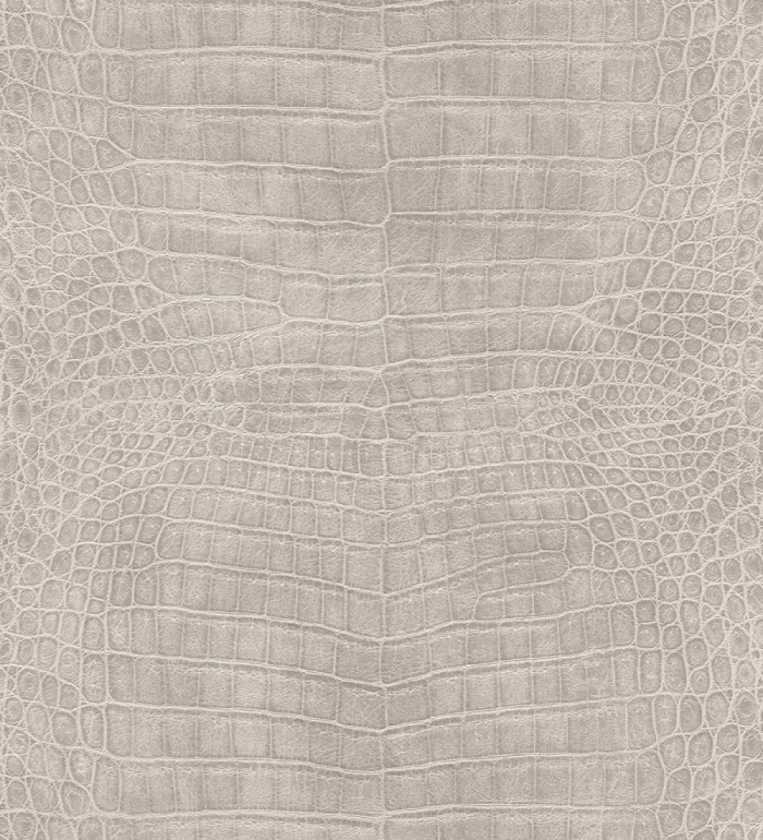Papel pintado piel de cocodrilo caimán africano - Maseru 682693