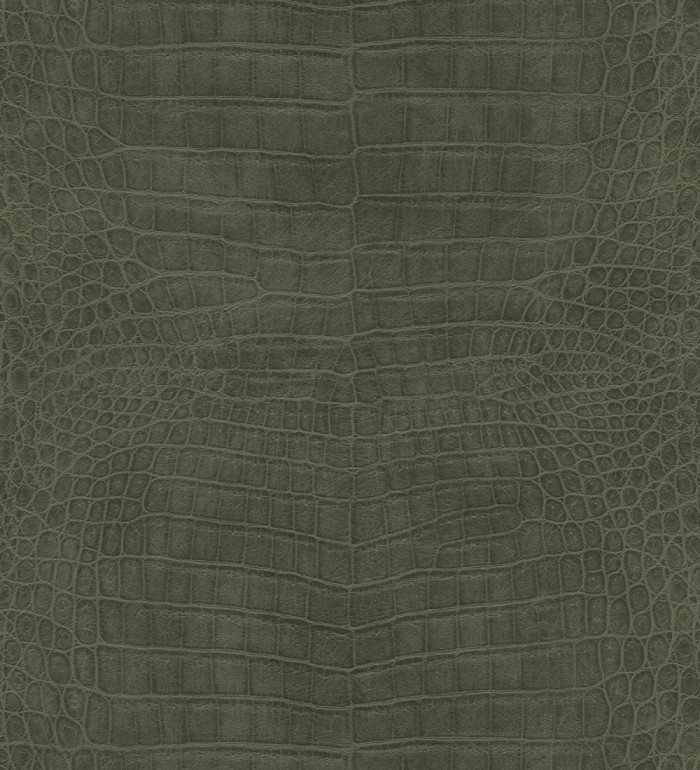 Papel pintado piel de cocodrilo caimán africano - Maseru 682695