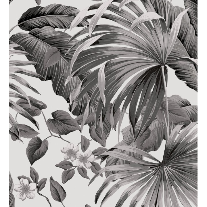 Papel pintado de hojas de palmera tropical color blanco gris y negro - Polynesia Paradise 682838