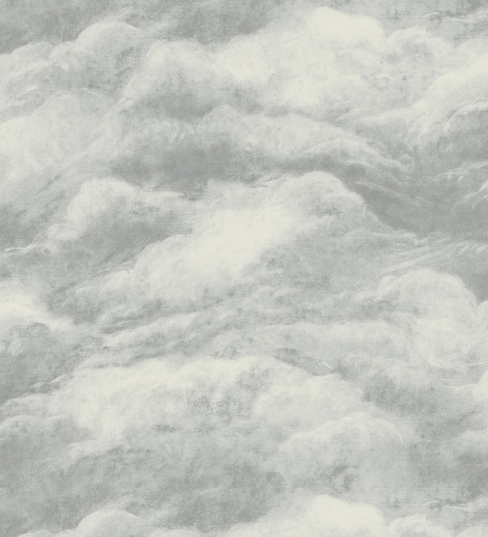 Papel pintado diseño de nubes con texturizado en relieve - Sky Muse 682841