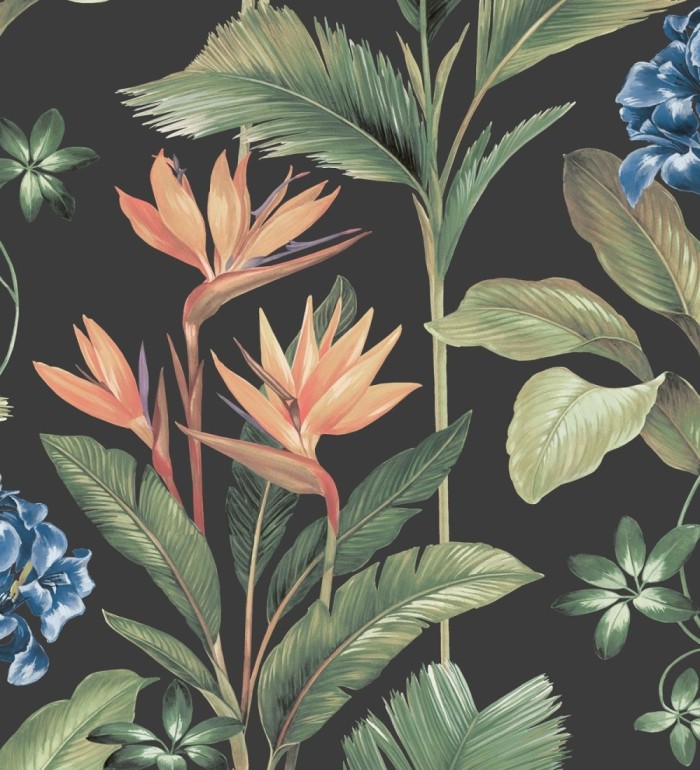 Papel pintado de flores del paraíso y hojas estilo tropical fondo negro - Mia Orchid 682876