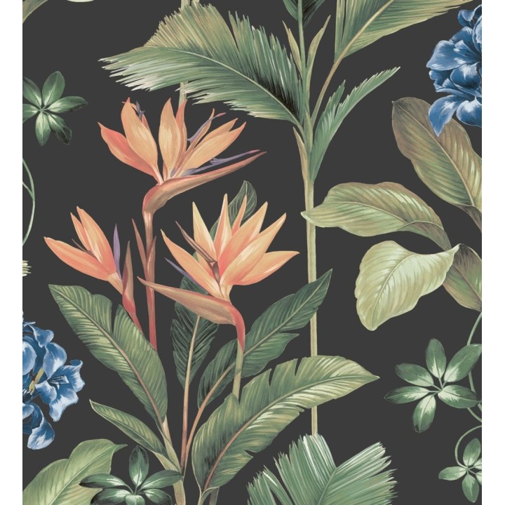 Papel pintado de flores del paraíso y hojas estilo tropical fondo negro - Mia Orchid 682876
