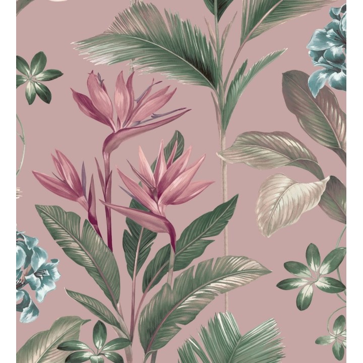 Papel pintado de flores del paraíso y hojas estilo tropical fondo rosa pálido - Mia Orchid 682877