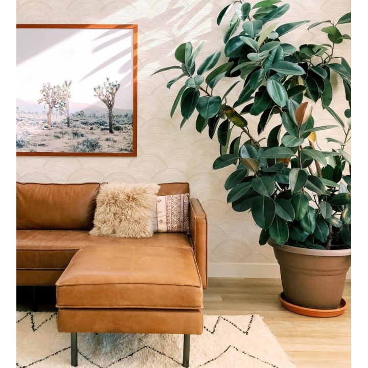 Papel pintado de medios círculos modernos - Paradox Wave 682943