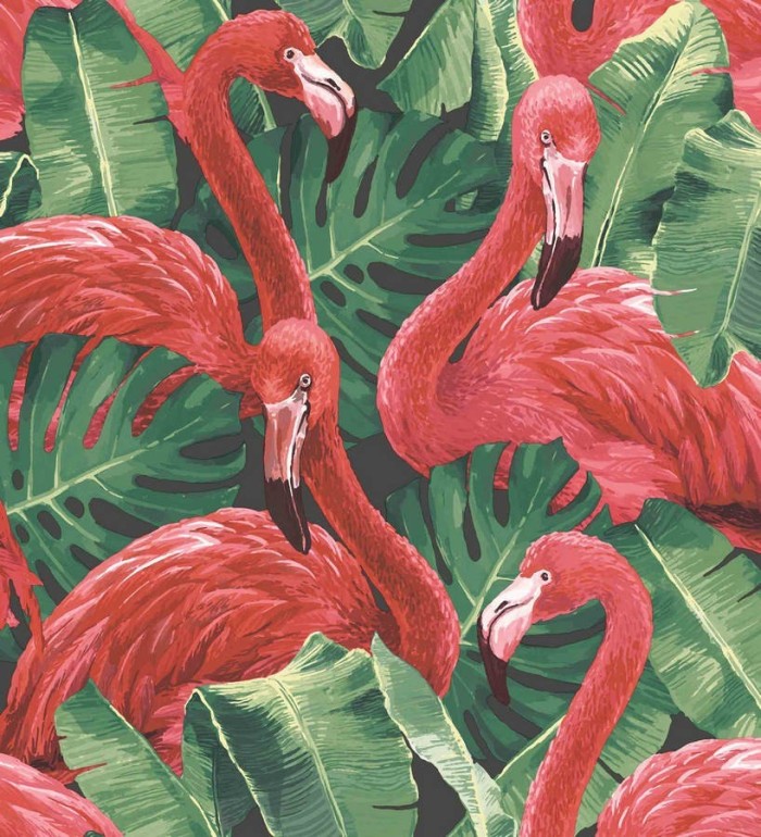 Papel pintado flamencos y hojas estilo tropical  - Flamingo Queen 124168