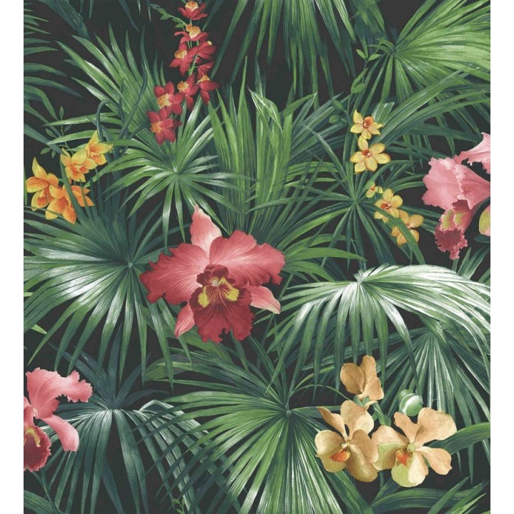 Papel pintado hojas de la jungla dominicana verde oscuro y rojo - Dominican Jungle 124197