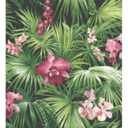 Papel pintado Dominican Jungle 124198