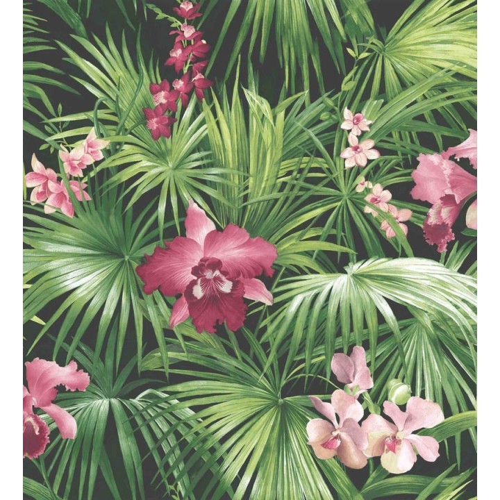 Papel pintado hojas de la jungla dominicana verde y rosa - Dominican Jungle 124198
