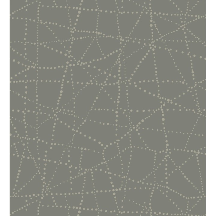 Papel pintado con líneas entrecruzadas inspiración de mapa estelar - Nomad Dots 683096