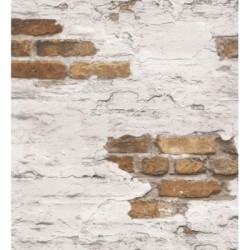 Morris Street 124398