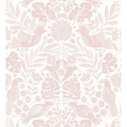 Acapulco Birds 683147