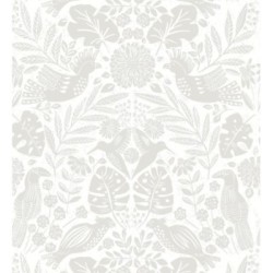 Acapulco Birds 683148