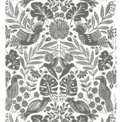 Acapulco Birds 683149