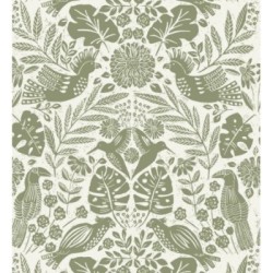 Acapulco Birds 683150