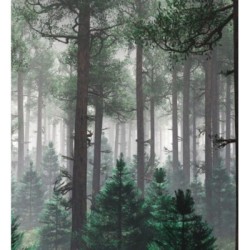 Papel pintado Nature Haven 683197