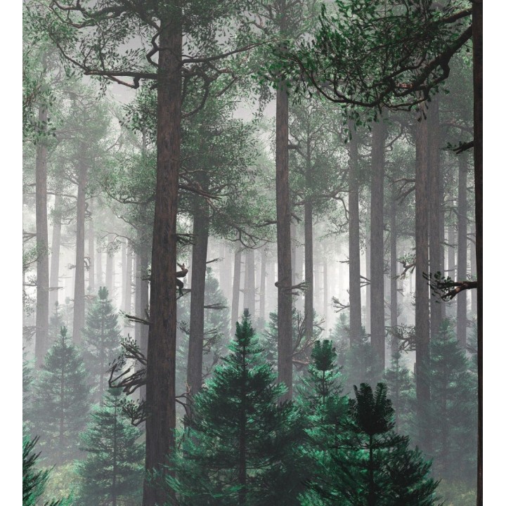 Papel pintado mural de bosque natural con árboles y bruma - Nature Haven 683197