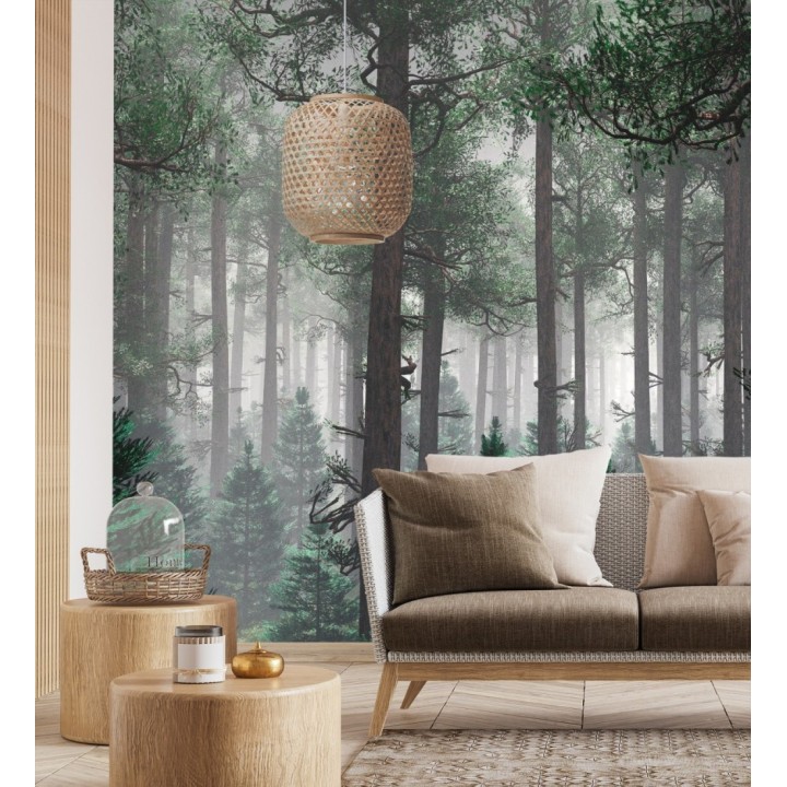 Papel pintado mural de bosque natural con árboles y bruma - Nature Haven 683197
