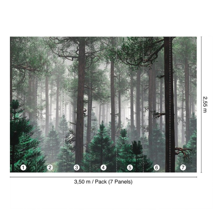 Papel pintado mural de bosque natural con árboles y bruma - Nature Haven 683197