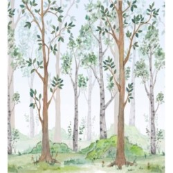 Baby Wonderland 683198