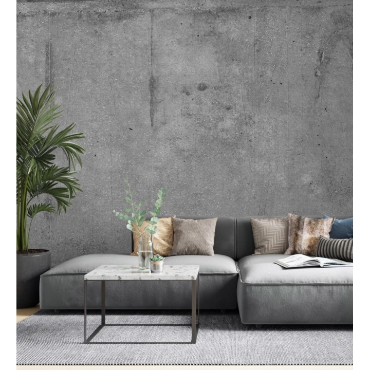 Papel pintado mural efecto cemento gris oscuro crudo estilo industrial - Industrial Charm 683200
