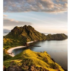 Papel pintado Nature Haven 683202