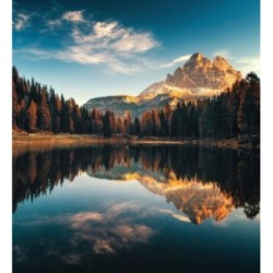 Papel pintado Nature Haven 683203