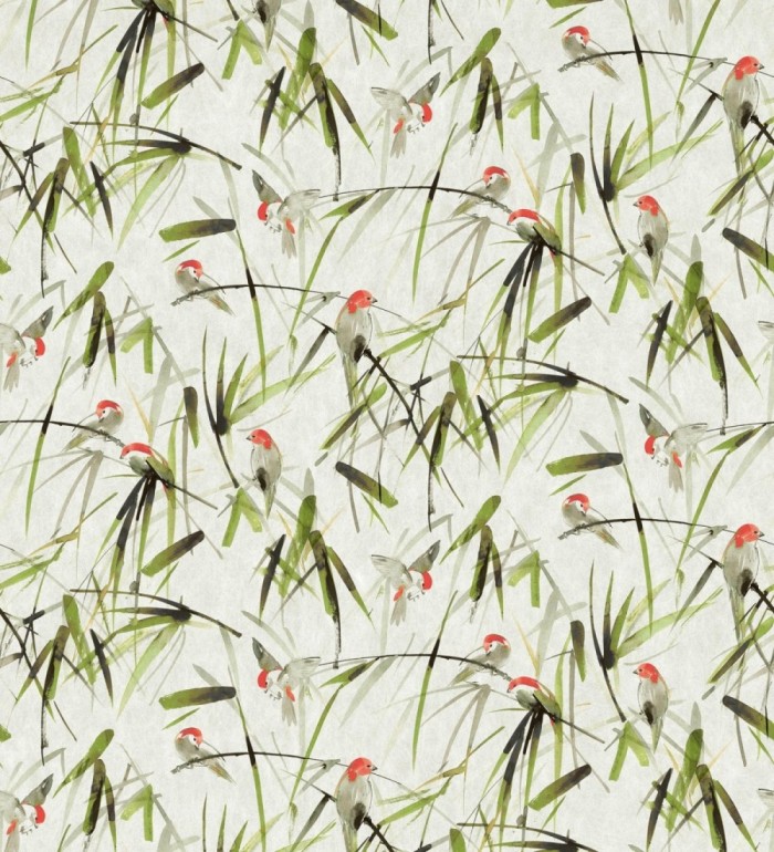 Papel pintado mural de pajaritos y ramas verdes - African Oasis 683223