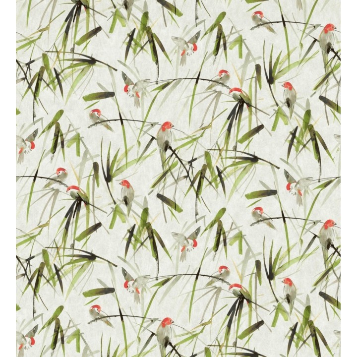 Papel pintado mural de pajaritos y ramas verdes - African Oasis 683223