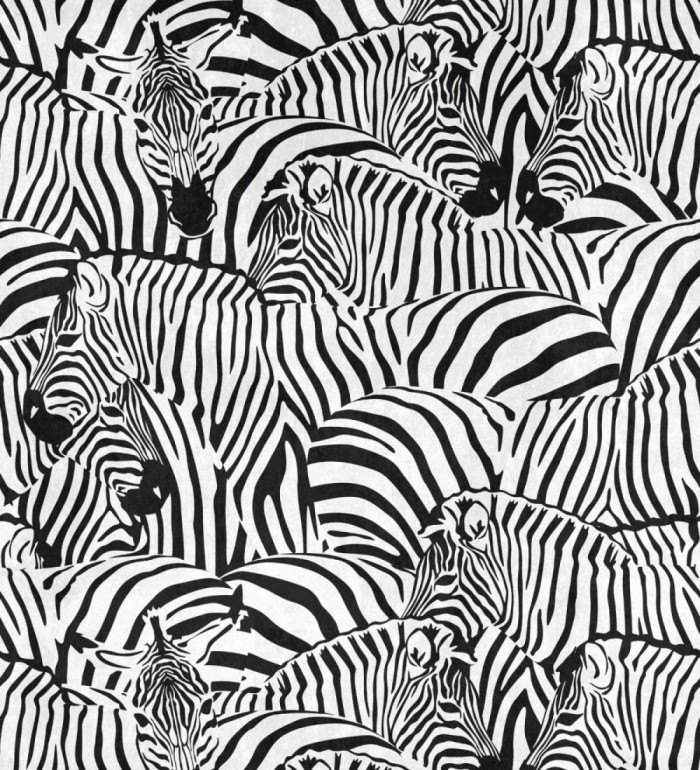 Papel pintado mural con estampado de cebras en negro y blanco - African Oasis 683234